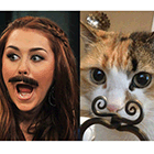 Знаменитости и кошки: забавные совпадения