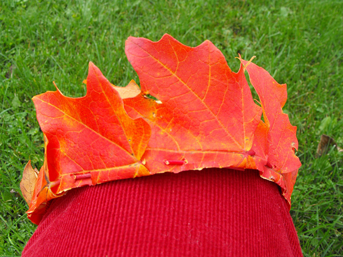 Поделки: Корона из осенних листьев