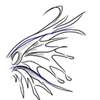 Как рисовать разные крылья