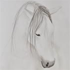 Как нарисовать голову лошади китайской тушью