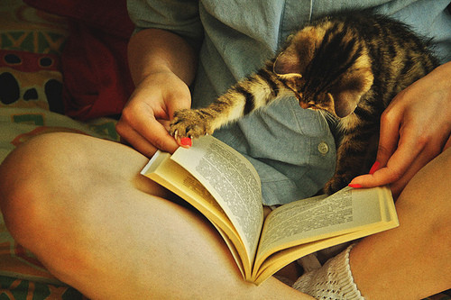 Кавайняшка: Кошки и книги