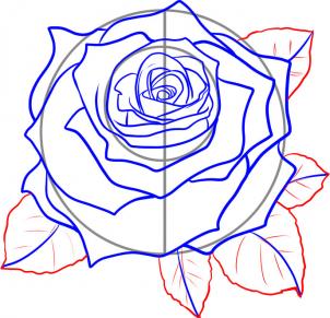 Как нарисовать красивую розу для мамы на 8 Марта