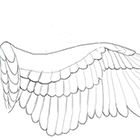 Как рисовать ангельские крылья
