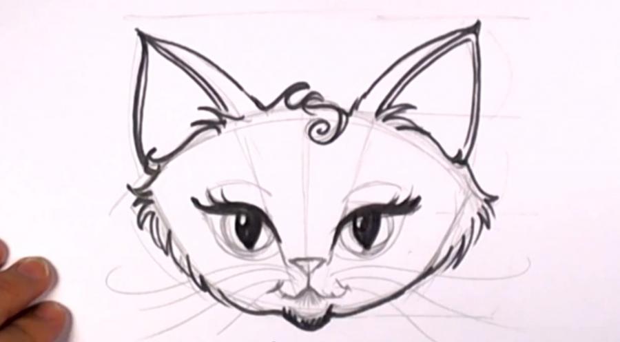 Пошаговый урок рисования кошки - YouLoveIt.ru