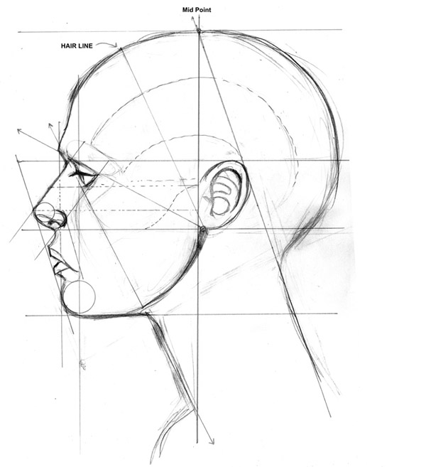 Как рисовать лицо: основные пропорции