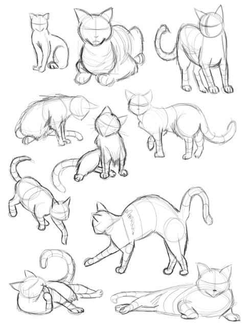 Как рисовать кошек