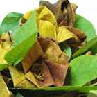 Осенние поделки: Розы из кленовых листочков