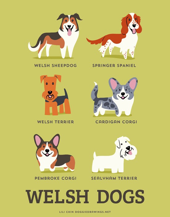 Кавайняшка: Собаки мира в иллюстрациях