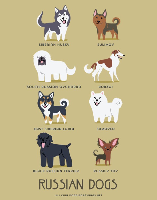 Кавайняшка: Собаки мира в иллюстрациях