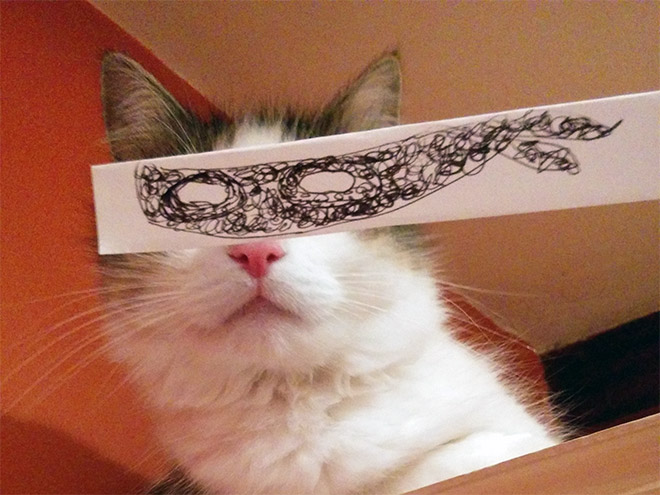 Кошки и нарисованные глаза Кошки и нарисованные глаза