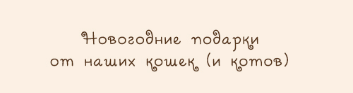 Новогодние подарки по версии кота Пушина