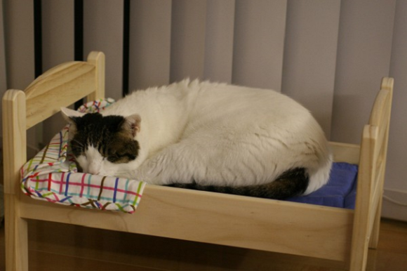 Кровати для кошек