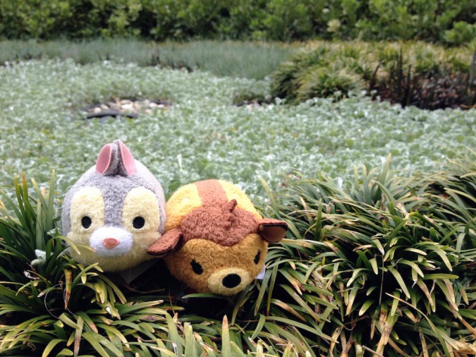 Кавайняшка: Игрушки Tsum Tsum в Диснейленде