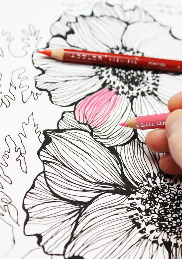 Советы по рисованию цветными карандашами