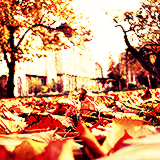 Осень и осенние картинки