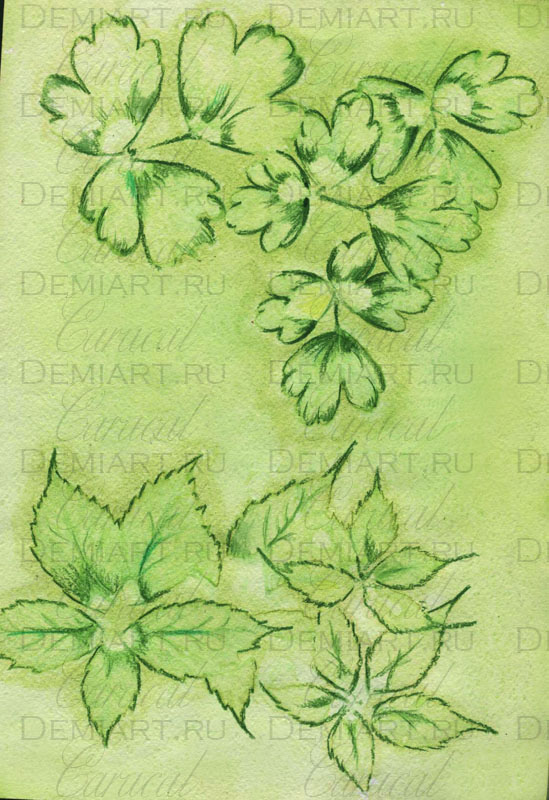 Рисование акварелью и отпечатками листьев