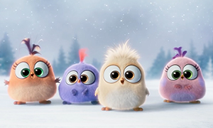 Angry Birds в кино: Новогоднее видео поздравление от птенцов
