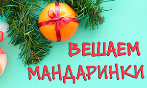 Новогоднее украшение из мандаринок: Как повесить мандаринки на ёлку