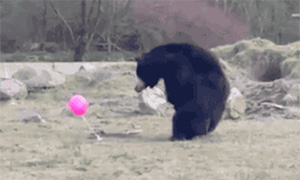 Кавайняшка: Три медведя и воздушный шарик