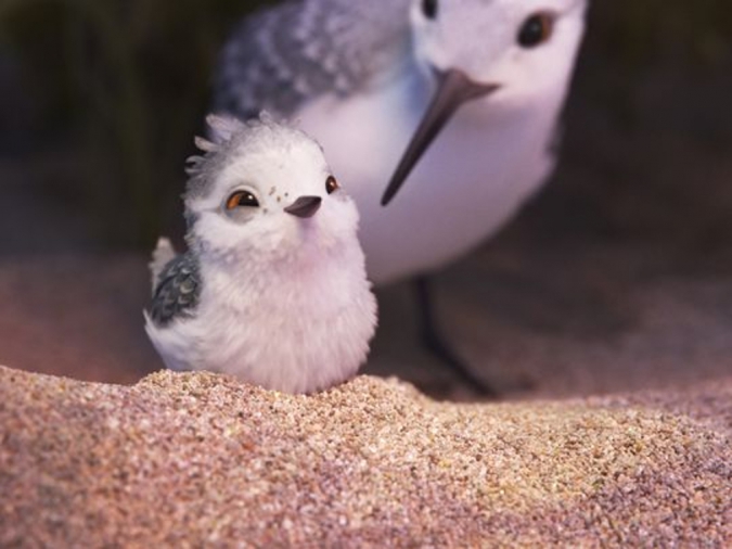 Пайпер: Новая короткометражка Pixar