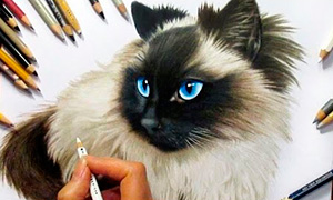 Видео: Красивые и супер реалистичные рисунки кошек