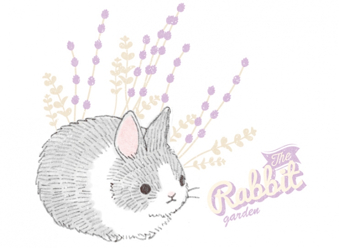 Милота: Рисунки кроликов
