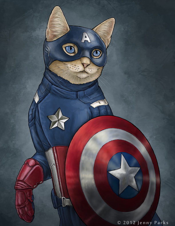 Кот Капитан Америка - супер герои Марвел