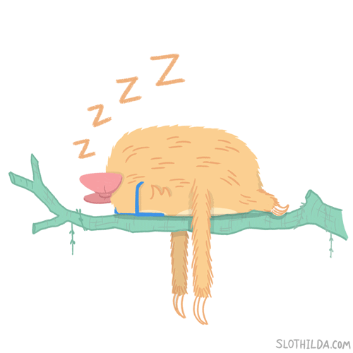 Ленивец Slothilda, с которой у тебя наверняка много общего Ленивец Slothilda, с которой у тебя наверняка много общего