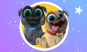 Дружные Мопсы - новый забавный мультсериал про собак