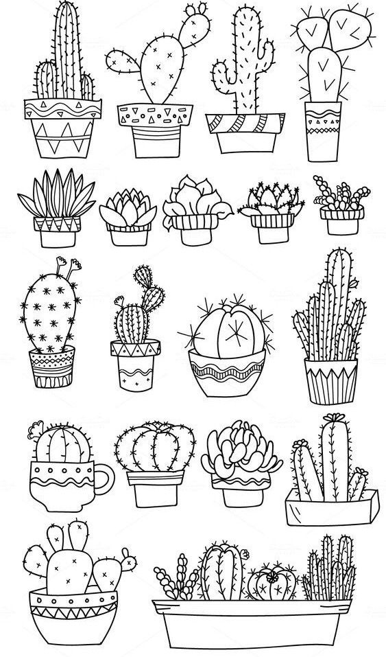 Рисунки с кактусами: Как рисовать кактусы и суккуленты