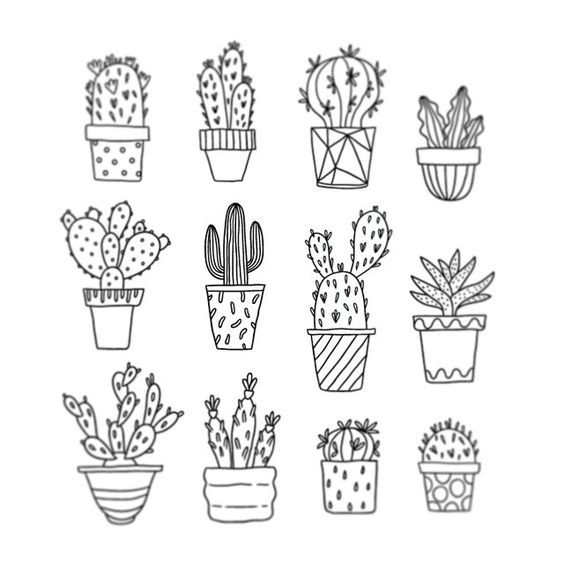 Рисунки с кактусами: Как рисовать кактусы и суккуленты