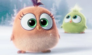 Новогодние и зимние обои для телефонов с Angry Birds