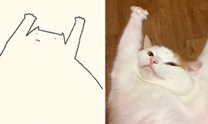 Художник рисует минималистичные портреты кошек по фото, и они очень смешные