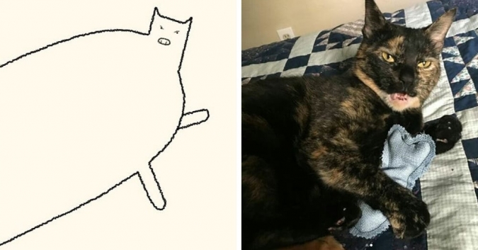 Минималистичные портреты кошек по рисункам