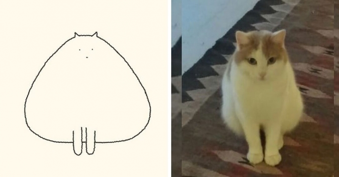 Минималистичные портреты кошек по рисункам