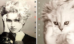 Если бы на обложках знаменитых альбомов были котята