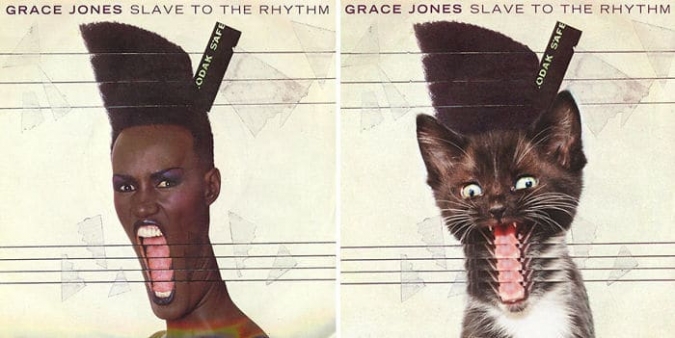 Котята на обложках музыкальных альбомов