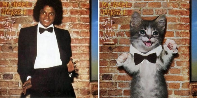 Котята на обложках музыкальных альбомов