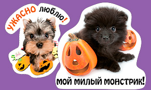 18 страшно милых картинок со щенками на Хэллоуин
