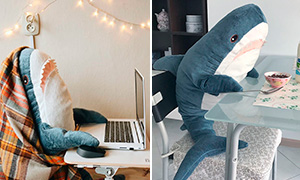 Плюшевая игрушка из IKEA стала звездой интернета. И да, это Акула