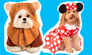 Эти 11 собак в костюмах героев Дисней сделают ваш день веселее