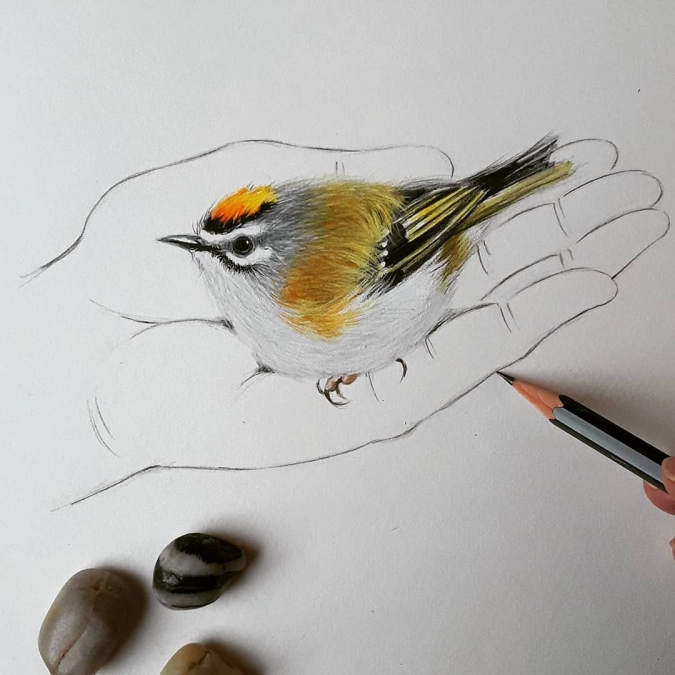 Животные и птицы на руках у человека
