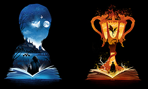 Альтернативные иллюстрации обложек книг про Гарри Поттера