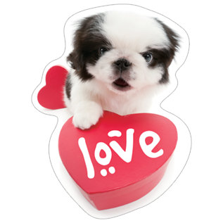 Валентинки картинки с щенками на 14 февраля
