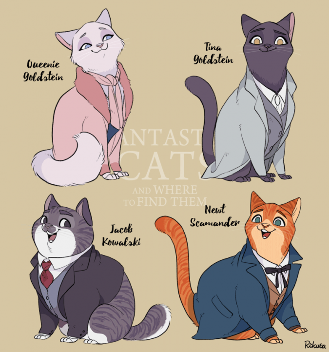 Фантастические Твари коты