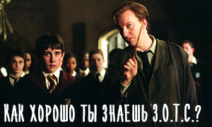 Тест Гарри Поттер: Какую оценку ты получишь по Защите от Темных Искусств?