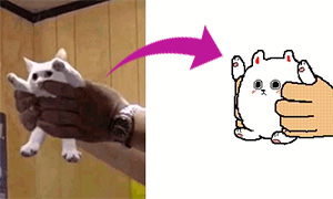 Художник превращает фото мемы с животными в смешные гифки