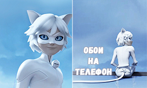Фото Белого Супер Кота Фото Белого Супер Кота